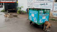 9 children injured in stray dog attack in Visakhapatnam 
