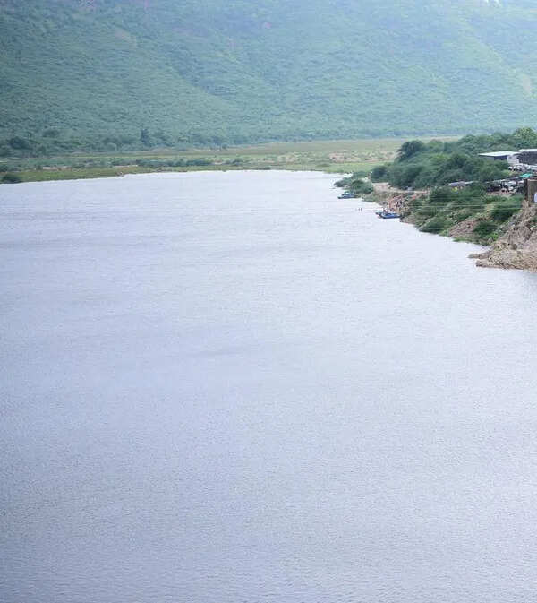 Parents throw 3 children into canal, survive suicide bid
