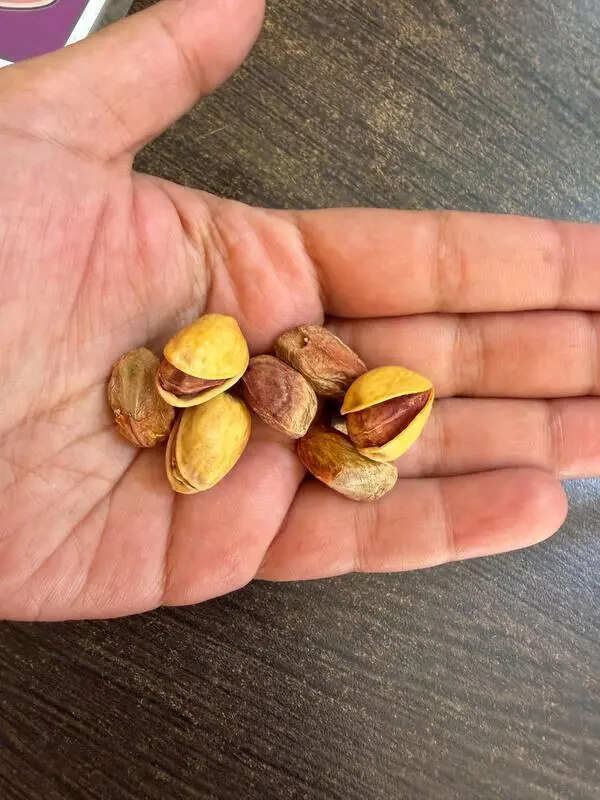 Iranian pistachios in short supply, price in Pune go up by 50%