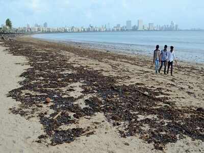 Man drowns, friend rescued at Gorai beach