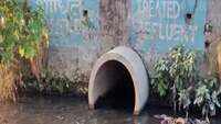 Delhi: Are STP deadlines too steep to meet? 