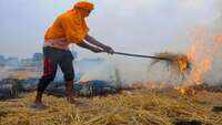 Punjab: 2,873 stubble burning cases reported in September-October 