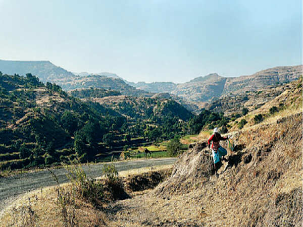Tribals vow to protect Niyamgiri from mining