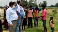 Watch: Locals clang utensils to drive away locusts in UP’s Ambedkar Nagar 