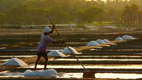 Trawling ban, fishermen's quest to make salt for living in Pedaminavani Lanka 