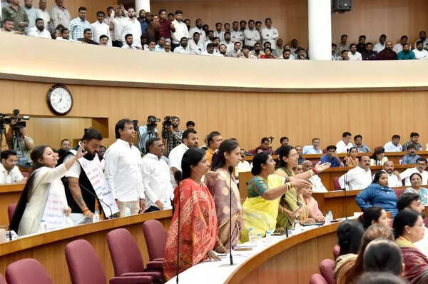 Mayor cancels appointments of 60 ex-military personnel over harassment allegations during waste segregation drive