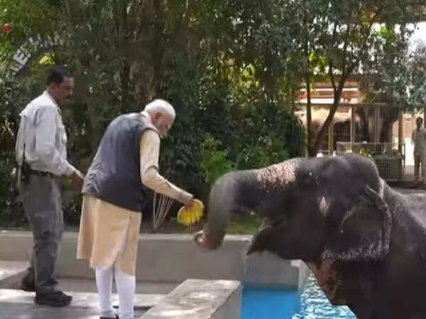 PM Narendra Modi inaugurates ‘Vantara’ in Jamnagar, Gujarat on World Wildlife Day