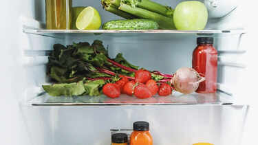 Refrigerators With 10+ Hours Cooling Retention: Don't Let Power Cuts Spoil Your Food