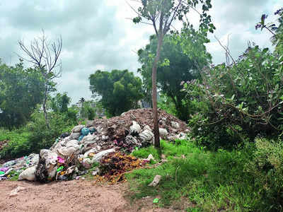 Hoskote Lake filled with debris and waste