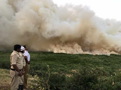 Bengaluru: Bellandur Lake catches fire yet again, creates chaos