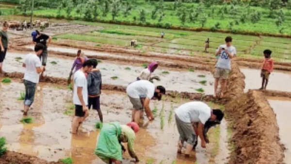 Job quota for those relocating from forest areas in Karnataka