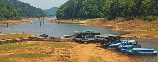 As water level drops, tourism at Thekkady lake could take a hit