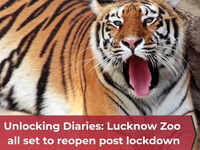 Unlocking Diaries: Lucknow Zoo all set to reopen post lockdown 