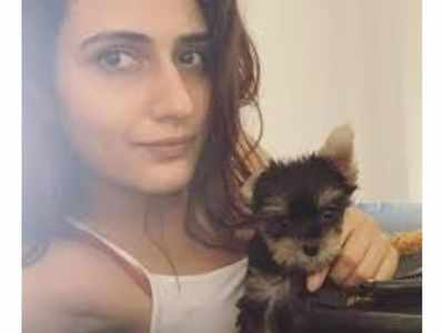 Fatima Sana Shaikh's pet Bijli has a special appearance in the actor's music video