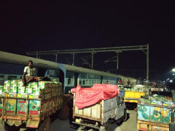 Train services supplying mangoes from Andhra to Delhi, begin