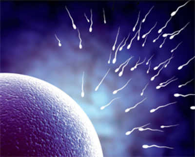 Designer sperm can alter faulty genes