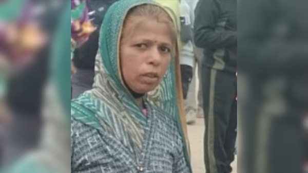 Madhya Pradesh anganwadi cook dies protecting 20 children from bee swarm, wraps them in mats and tarpaulin