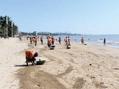 10k tonnes of trash cleared from Juhu Beach since June