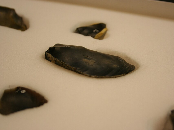 Scientists finally discovered who made these mysterious 45,000-year-old Ice Age tools