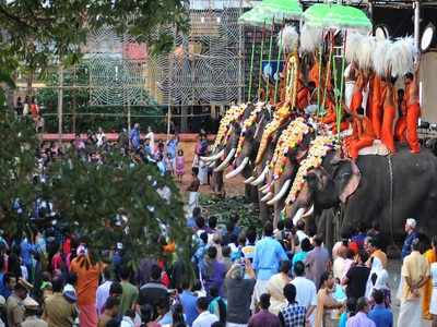 Kerala Elephant Owners decide against allowing their elephants to participate in temple festivals