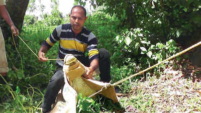 Karnataka: Spotted a croc? Just call Steve Irwin of Sirsi