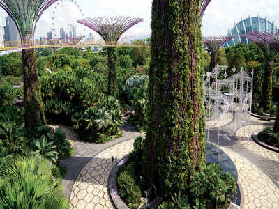 Walk in the park at Bengaluru airport, Singapore style