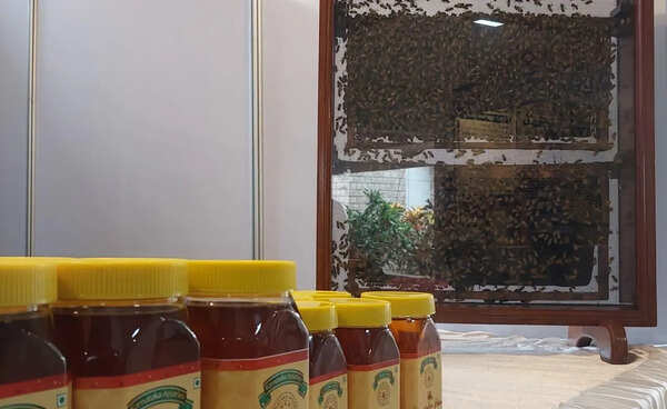 Fake Kodagu honey flooding Karnataka markets: Beekeepers