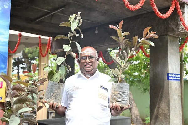 A crematorium in Coimbatore gives bereaved families saplings of hope
