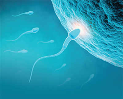 Stem cells used to create artificial sperm and egg