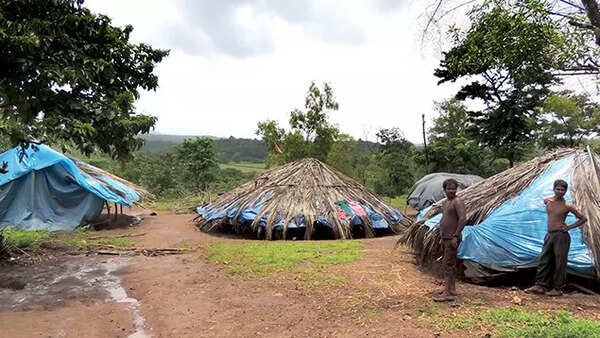 From forest fringes, they battle odds to enter mainstream life