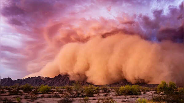 Dust Storms