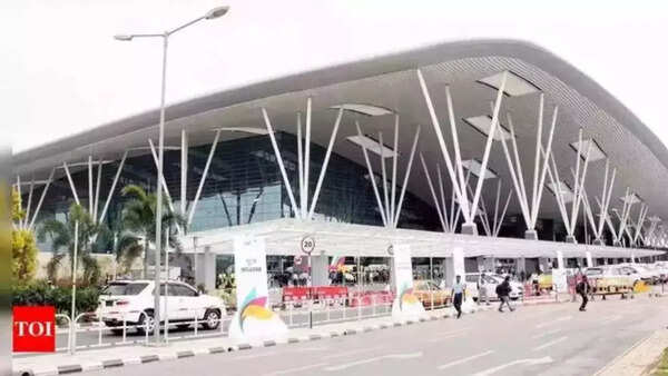 Bengaluru airport tops bird-hit incidents in southern India; 343 cases in 5.5 years; Delhi leads with 695