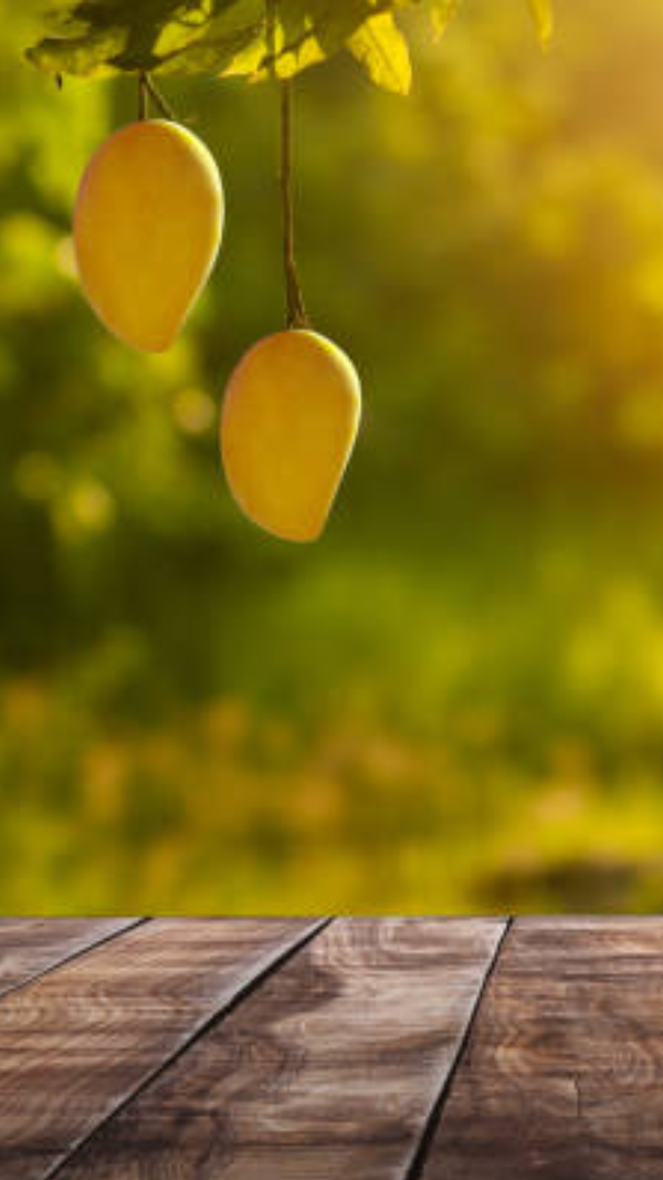 The King of fruits strikes again: 5 incredible health benefits of mango