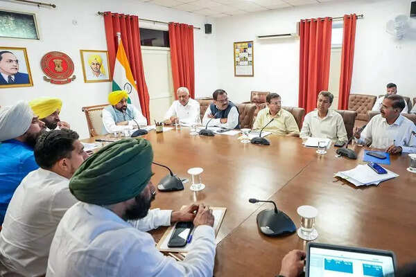 Mann OKs amphibious machine for desilting rivers, rescue ops amid floods