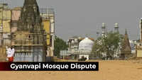 Gyanvapi Mosque Survey: What happened on Day One 