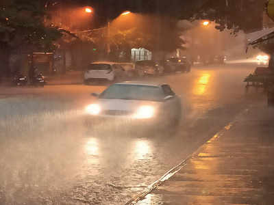 Strong winds in Bengaluru, rain in parts of Karnataka