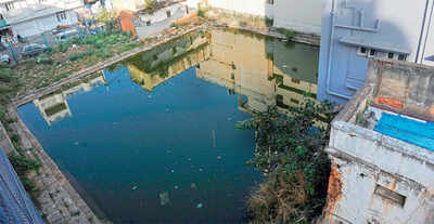 Heritage site turns into garbage dump