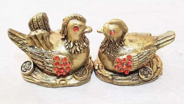 Where to place Mandarin Ducks to attract the right partner