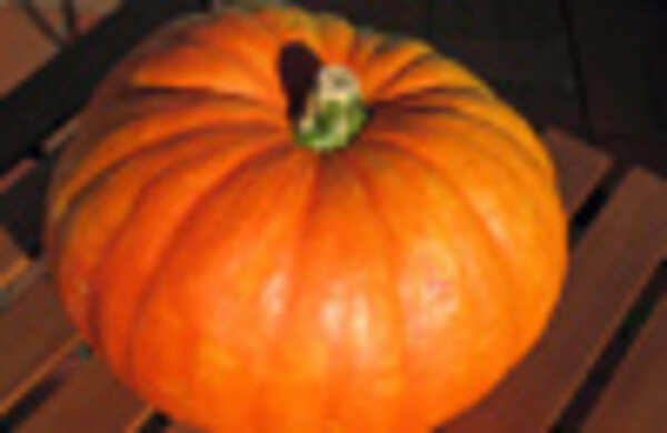 Healthy pumpkin fries recipe