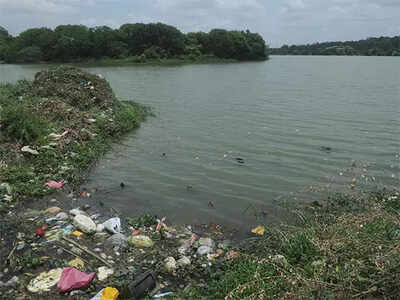 ‘Focus on cleaning the lakes, forget Sharavati river’