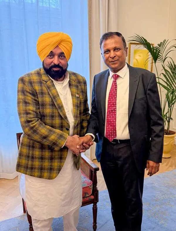‘State in dark as CM tours Europe’: Cong slams AAP govt over power cuts