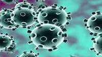 Covid-19 in India: TB exposure keeping corona death rate low? 