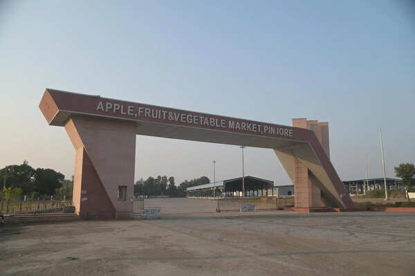 Pinjore fruit market revamp on cards, HSAMB moves to appoint consultant