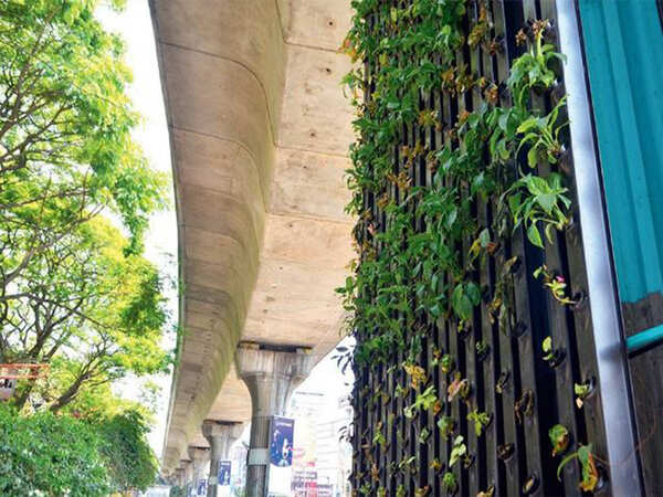 Metro pillars a vertical garden