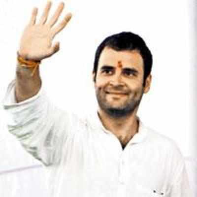 Pressure on Rahul's Kalawati not to take on Congress in polls