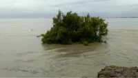 River Brahmaputra crosses danger mark in Assam 