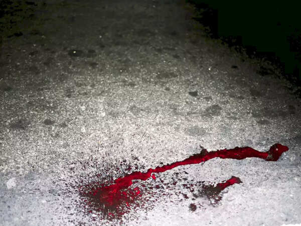 Woman’s chopped body found in bag