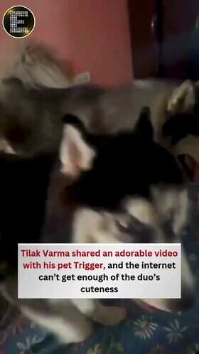 Tilak Varma Shares Adorable Moments With Pet Trigger