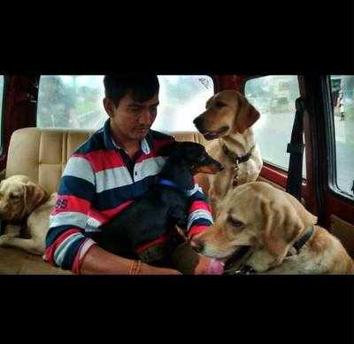 Hotel for Dogs to rescue the canines from Chennai flood and bringing them to Bengaluru