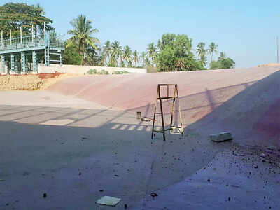 Varthur Lake can finally dream of froth-free life